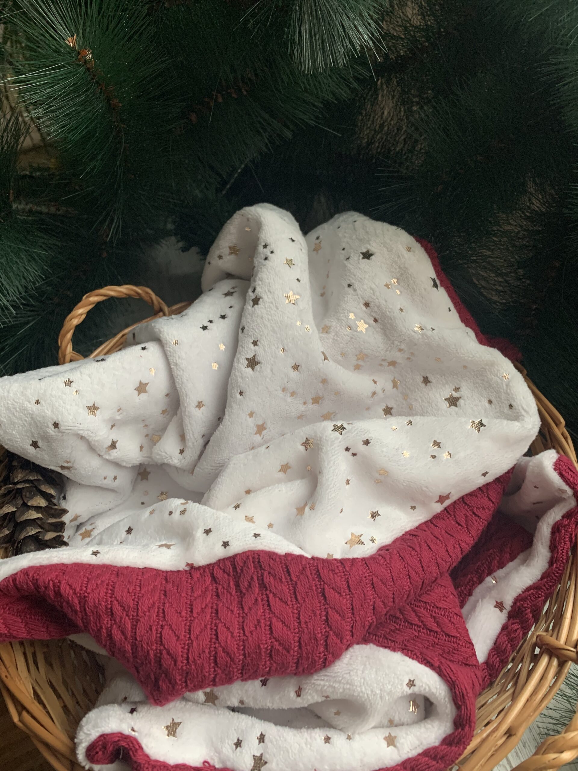 E4798EC9-1191-490D-83DD-3CBDA7CA02AF