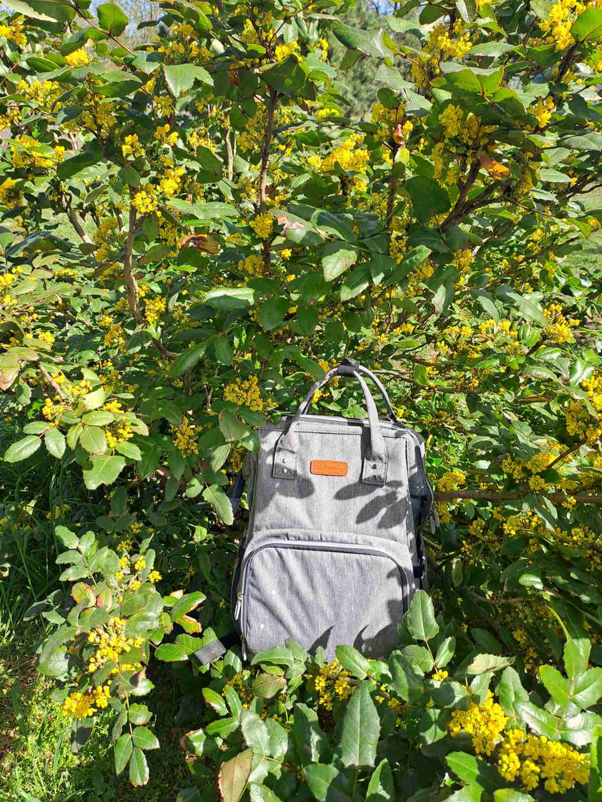 viber_image_2024-04-18_10-25-51-111