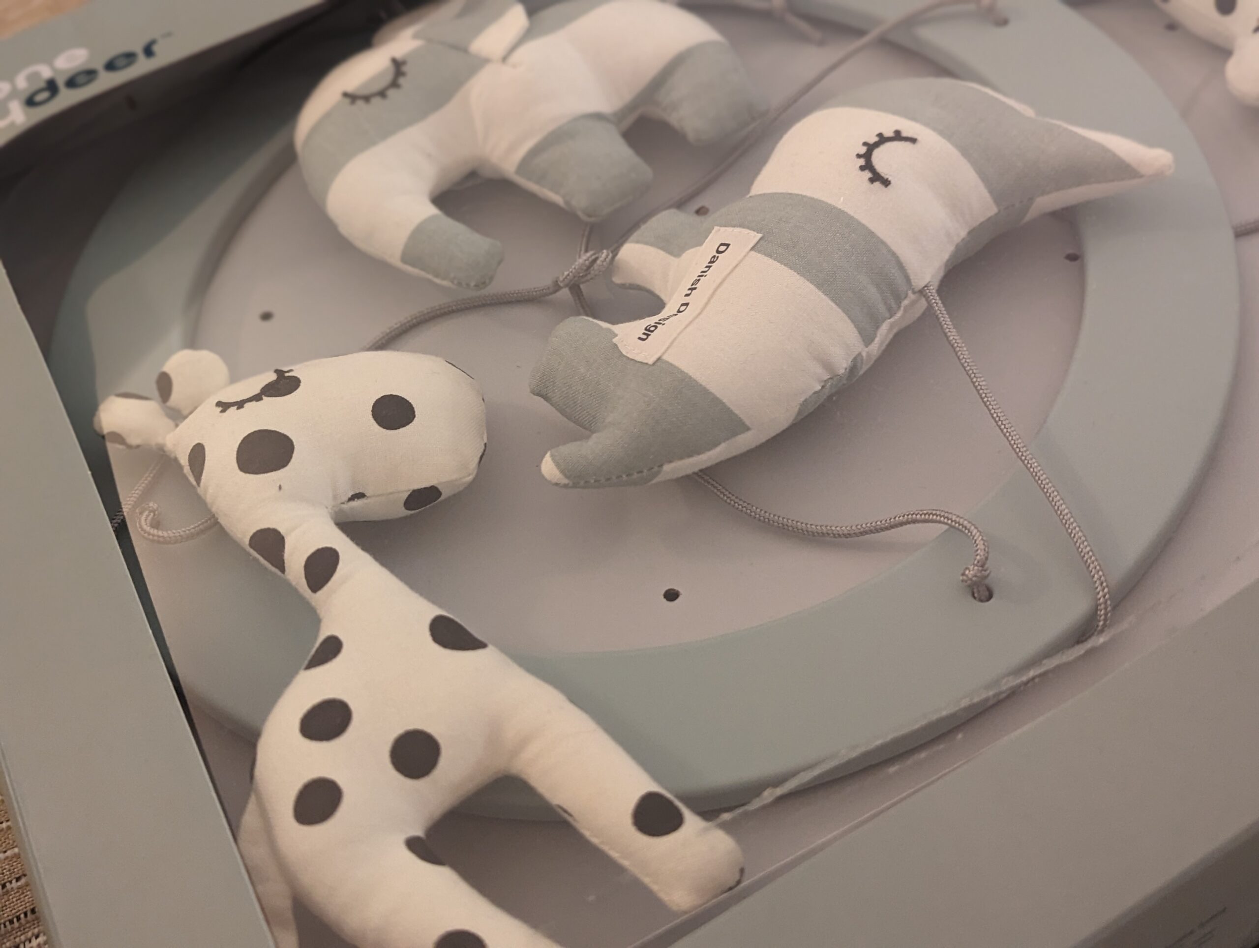 PXL_20231113_185221359.PORTRAIT