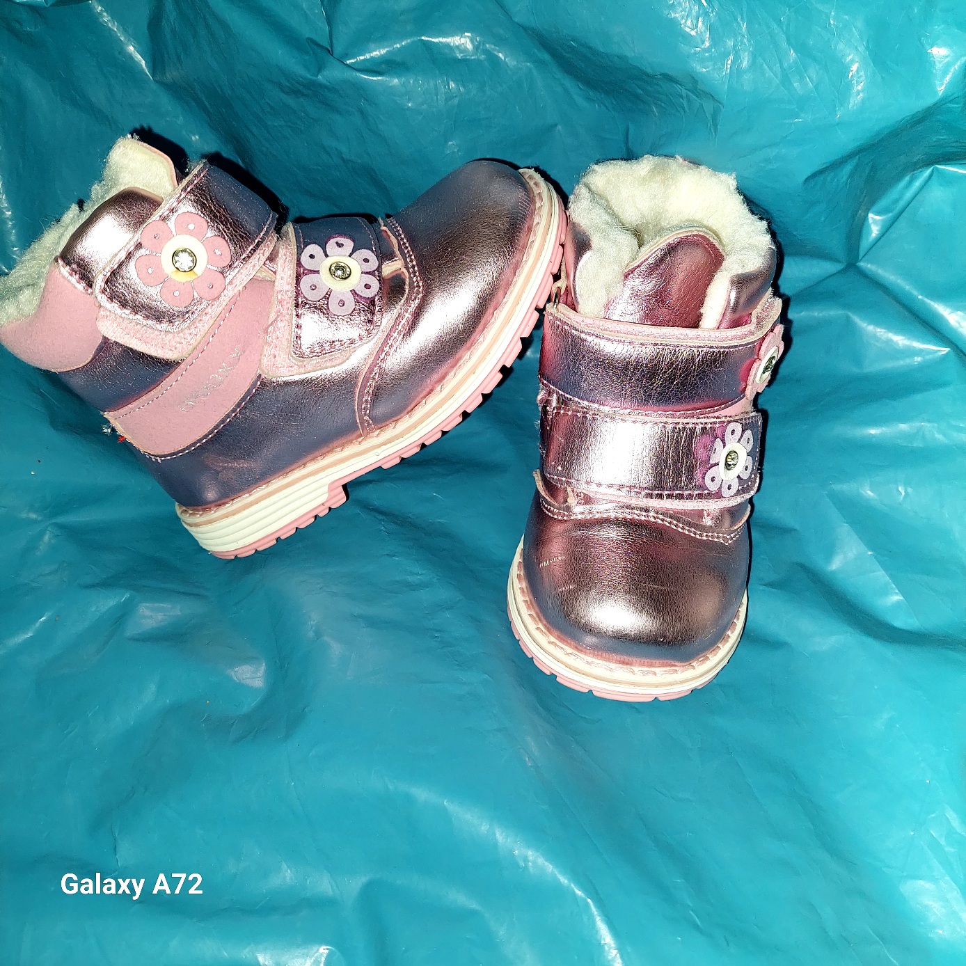 Tamara Cvetic Tamara Cvetic