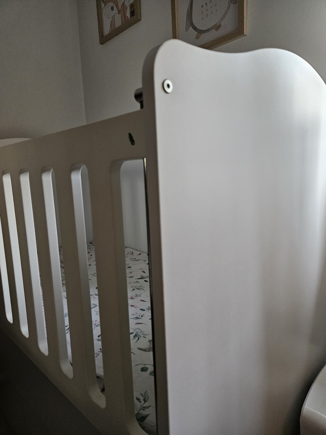 viber_image_2024-08-20_09-47-52-751