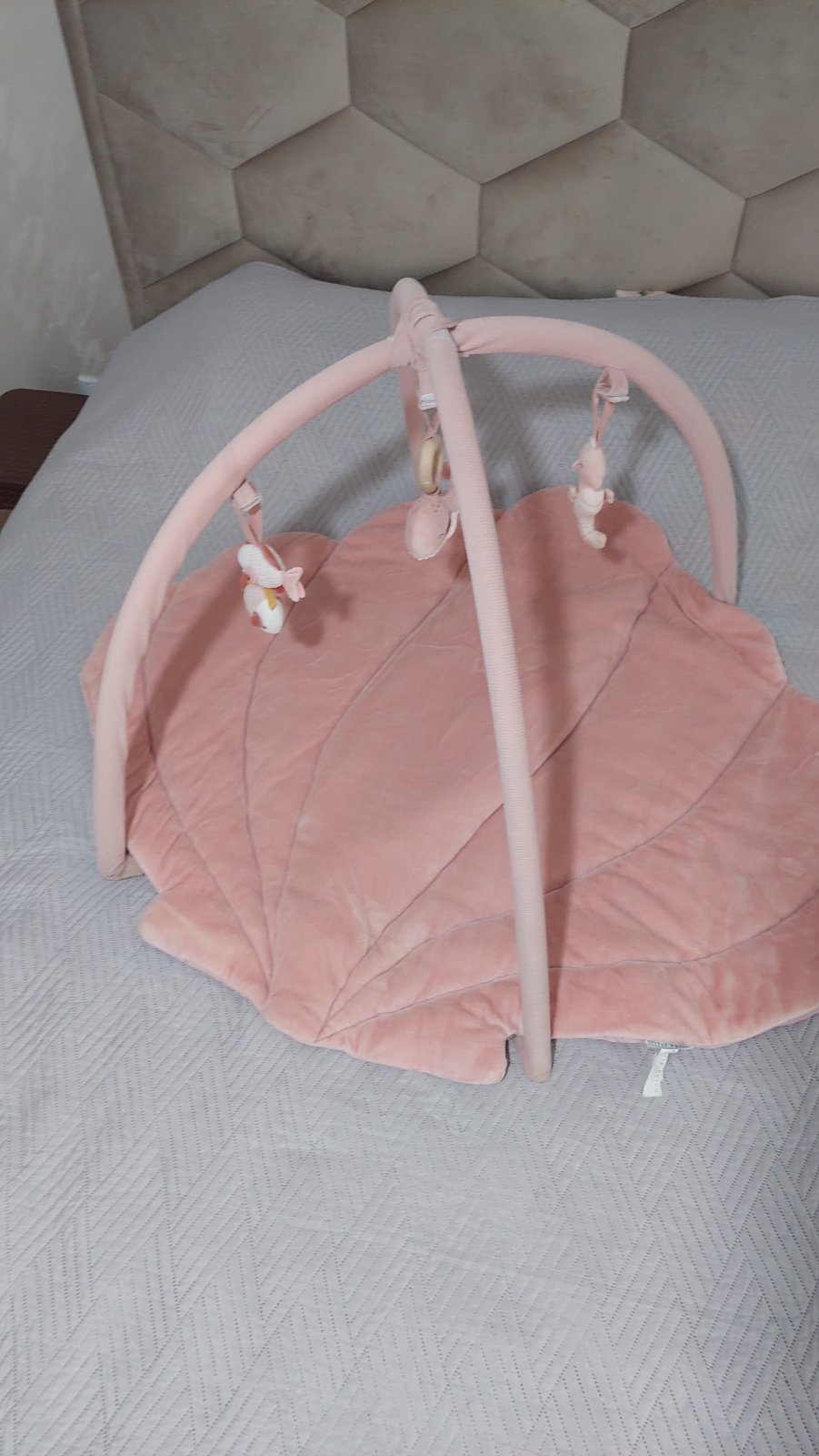 IMG-c6f57adb2d602e1a93087318e71197b7-V