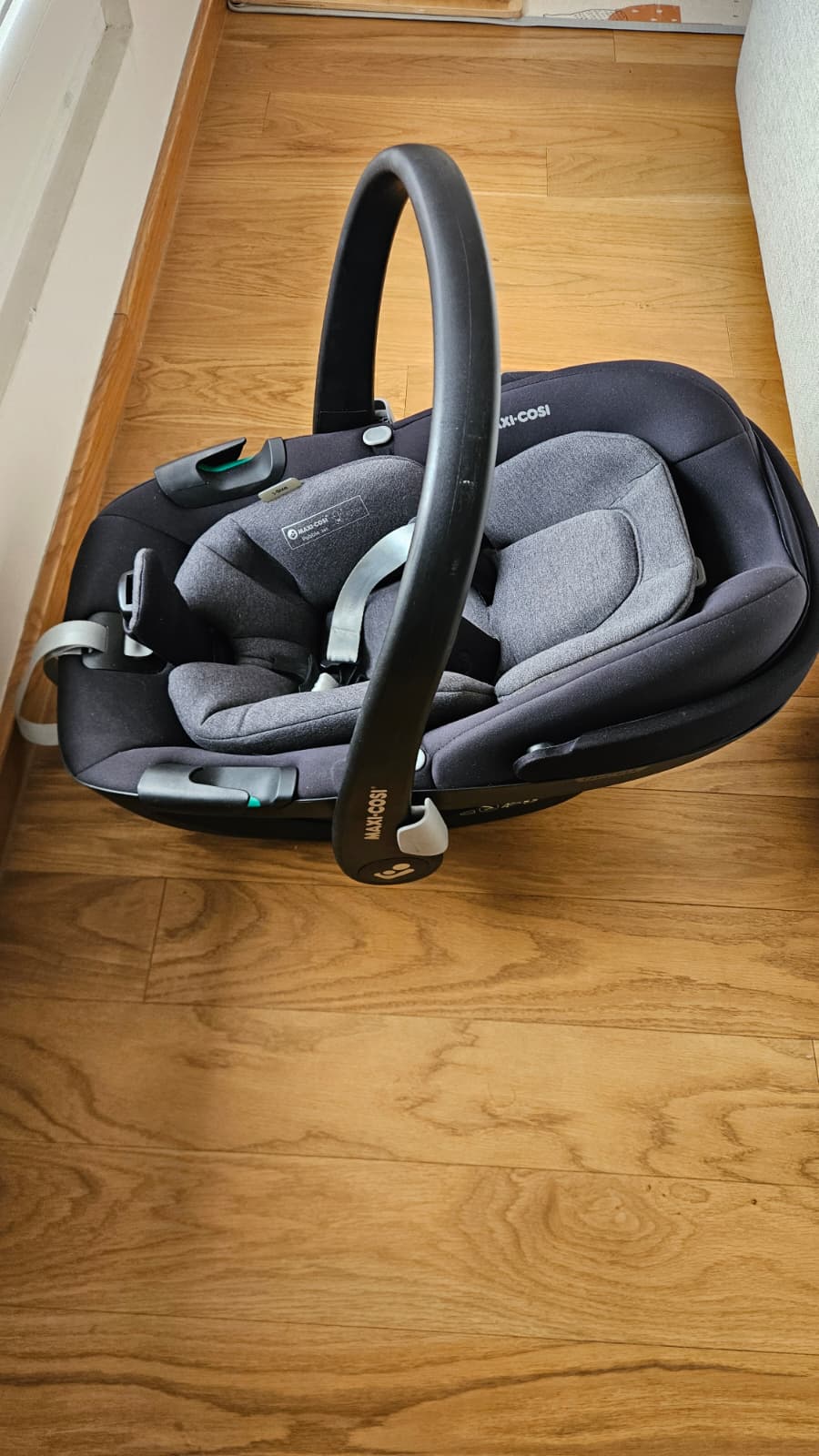 WhatsApp Image 2026-01-31 at 13.06.37