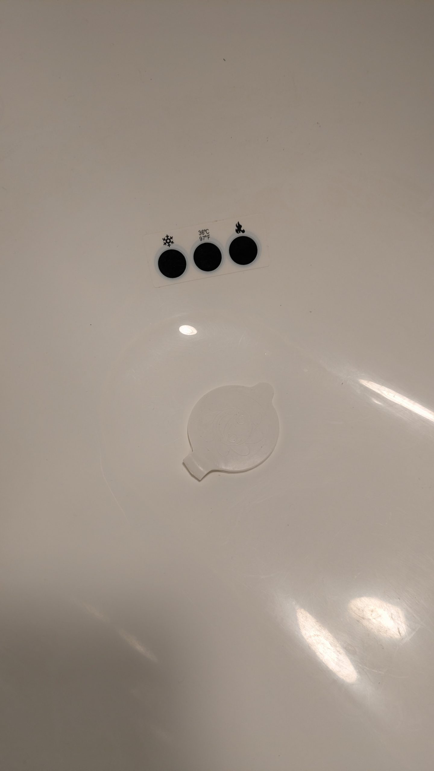 PXL_20251122_152229182